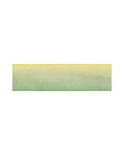 Лента капроновая двухцветная BLITZ ORP-25 ш.2,5см (22,5м) арт. ГММ-99039-10-ГММ003281874762