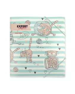 "Expert Complete" Trend ECRF-05 А5 Папка на резинке 450 мкр. 25 мм песок 6 шт. №02 - Кот арт. ГММ-107672-2-ГММ080275235314