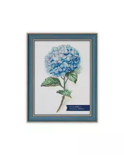 Рамка БМГ-02/1 19 х 25 см пластик с оргстеклом Окситан арт. ГММ-107435-2-ГММ082427715224