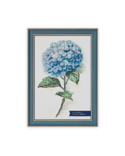 Рамка БМГ-02/1 21 х 31 см пластик с оргстеклом Окситан арт. ГММ-107437-4-ГММ082428272204