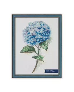 Рамка БМГ-02/1 31 х 41 см пластик с оргстеклом Окситан арт. ГММ-107440-3-ГММ082428468964