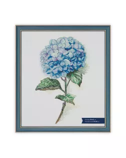 Рамка БМГ-02/1 36 х 41 см пластик с оргстеклом Окситан арт. ГММ-107441-4-ГММ082428524794