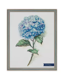 Рамка БМГ-02/1 41 х 51 см пластик с оргстеклом Тулуза арт. ГММ-107443-2-ГММ082428616874