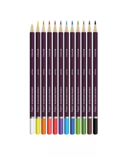 "VISTA-ARTISTA" VGCP-12 "Gallery" Набор цветных карандашей 8 х 12 цв. арт. ГММ-112901-1-ГММ082985542434