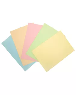 "Expert Complete" ECCP-01 Цветная бумага для офисной техники "Пастель" 80 г/м2 А4 5 цв. 50 л. арт. ГММ-106601-1-ГММ078392714254