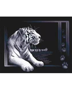 Набор для вышивания "PANNA" J-0277 ( Ж-0277 ) "Белый тигр" арт. ГММ-101497-1-ГММ001274947272
