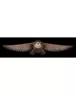 Набор для вышивания "ИН" №105 С-44 "Сова"(хлопок) 85 х 18 см арт. ГММ-103839-1-ГММ057887518932