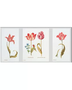 Набор для вышивания "Тюльпаны Джейкоба Маррель и Джудит Лейстер, 16-й век", канва Aida 18 ct арт. ГЕЛ-11900-1-ГЕЛ0113727