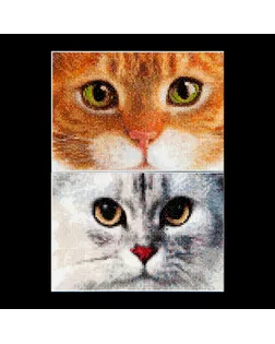 Набор для вышивания "Два котёнка", канва Aida 16 ct арт. ГЕЛ-12928-1-ГЕЛ0113808