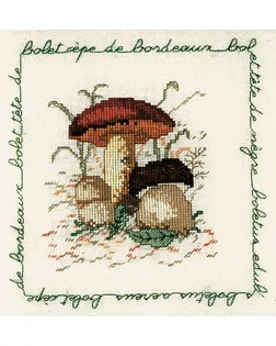 Набор для вышивания:"BOLET CEPE DE BORDEAUX" (Белый гриб) арт. ГЕЛ-9999-1-ГЕЛ0163885