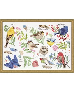 Набор для вышивания "Изучая птиц" арт. ГЕЛ-26714-1-ГЕЛ0173987