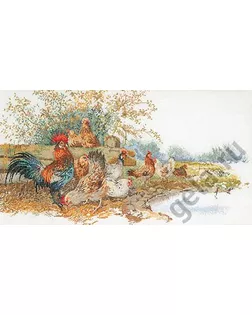 Набор для вышивания "Куры", канва аида 16 ct арт. ГЕЛ-21098-1-ГЕЛ0035031