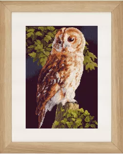 Набор для вышивания "Owl" арт. ГЕЛ-10540-1-ГЕЛ0074821