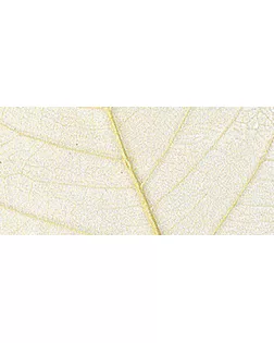 Листья сухие для декора арт. ГЕЛ-983-1-ГЕЛ0121232