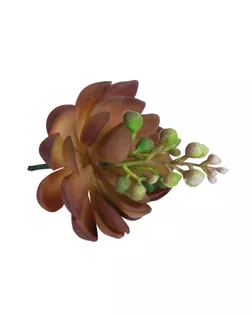 Декоративные цветы "Суккулент каменная роза" арт. ГЕЛ-4164-1-ГЕЛ0127741