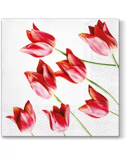 Салфетки трехслойные для декупажа, коллекция "Lunch" PAW Decor Collection "Красные тюльпаны" арт. ГЕЛ-10217-1-ГЕЛ0137064