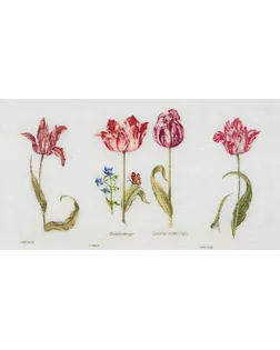 Набор для вышивания "Тюльпаны Джейкоба Маррель и Джудит Лейстер, 16-й век", канва Aida 18 ct арт. ГЕЛ-11900-1-ГЕЛ0113727