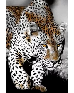 Картина стразами "Пронзительный взгляд леопарда" арт. ГЕЛ-14833-1-ГЕЛ0161466