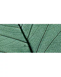 Листья сухие для декора арт. ГЕЛ-15050-1-ГЕЛ0121229
