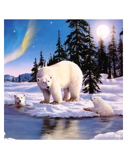 Картина стразами "Медведи и северное сияние, Энтони Касай" арт. ГЕЛ-15531-1-ГЕЛ0161525