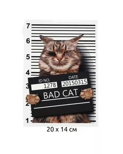 Термотрансфер Bad Cat 20х14см, уп.10шт арт. МГ-121527-1-МГ1015731