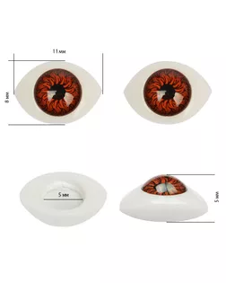 Глаза круглые выпуклые цветные 11мм цв.коричневый арт. МГ-565-1-МГ0164705