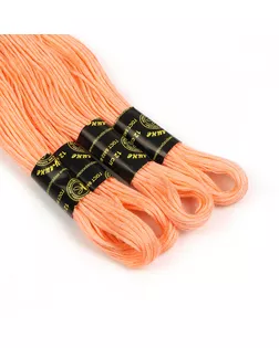 Нитки мулине цв.0702 бл.оранжевый 24х8м С-Пб арт. МГ-133542-1-МГ1691069