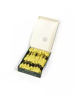 Нитки мулине цв.4804 желто-салатовый 24х8м С-Пб арт. МГ-133573-1-МГ1691139