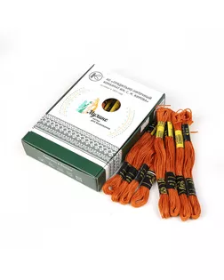 Нитки мулине цв.9210 коричневый 24х8м С-Пб арт. МГ-134444-1-МГ1706098