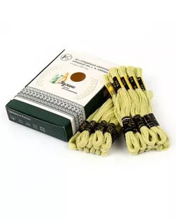 Нитки мулине цв.4802 бледно-зеленый 24х8м С-Пб арт. МГ-134546-1-МГ1708120