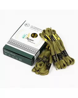 Нитки мулине цв.8704 оливковый 24х8м С-Пб арт. МГ-134632-1-МГ1710282