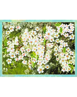 Купить Рисунок на шелке МАТРЕНИН ПОСАД - 4092 Цветущая вишня арт. МГ-28203-1-МГ0213129 оптом в Алматы