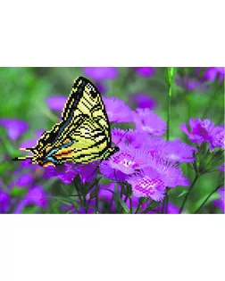 Купить Рисунок на шелке МАТРЕНИН ПОСАД - 4000 Бабочка на лиловых цветах арт. МГ-100036-1-МГ0837466 оптом в Алматы