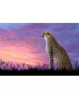 Алмазная мозаика Ah5304 Леопард на закате 40х60 арт. МГ-14017-1-МГ0748474
