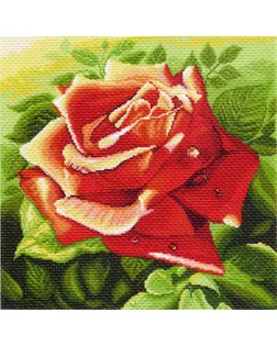 Рисунок на канве МАТРЕНИН ПОСАД - 1216 Красная роза арт. МГ-27718-1-МГ0212101