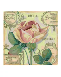 Набор для вышивания мулине НИТЕКС Английская роза 25х25 см арт. МГ-43421-1-МГ0505472