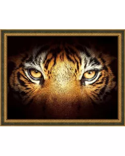 Набор для изготовления картин АЛМАЗНАЯ ЖИВОПИСЬ «Тигриный взгляд» 40х30 см арт. МГ-108079-1-МГ0978320