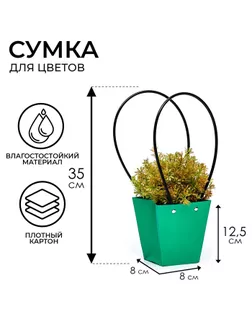Сумка для цветов Зеленая влагостойкая, 12x12-8x8-12.5 см арт. СМЛ-232037-1-СМЛ0010060414