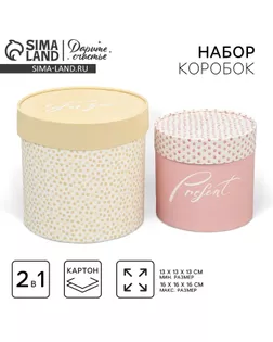 Набор шляпных коробок 2 в 1, упаковка подарочная, «Точки», 13 х 13 см, 16 х 16 см арт. СМЛ-232232-1-СМЛ0010068936