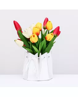 Аквабокс, 14 х 14 см, Белый арт. СМЛ-232740-1-СМЛ0010091423