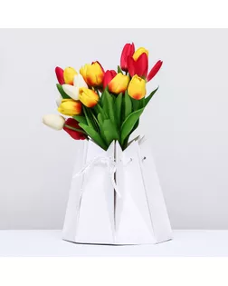 Аквабокс, упаковка, 20 х 20 см, Белый арт. СМЛ-232743-1-СМЛ0010091427