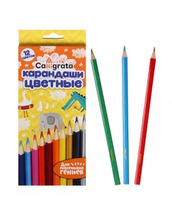 Карандаши 12 цветов Calligrata арт. СМЛ-194751-1-СМЛ0001014633