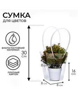 Сумка для цветов прозрачная влагостойкая, 16x8-8x8-16см арт. СМЛ-233541-1-СМЛ0010150455