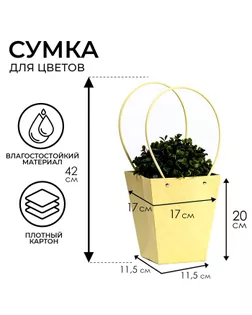 Сумка для цветов тиснение шампань влагостойкая, 17x17-11.5x11.5-20 см арт. СМЛ-233548-1-СМЛ0010150463