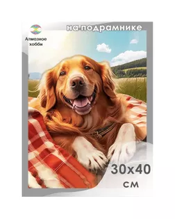 Алмазная мозаика «Собака-улыбака», 30 × 40 см, на подрамнике арт. СМЛ-233637-1-СМЛ0010157724