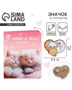 Значок на открытке «Котики», 10 х 8 см арт. СМЛ-233867-1-СМЛ0010185713