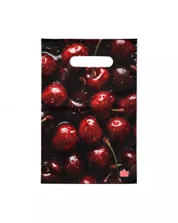 Пакет "Вишня", полиэтиленовый с вырубной ручкой, 20х30 см, 30 мкм арт. СМЛ-245340-1-СМЛ0010346727