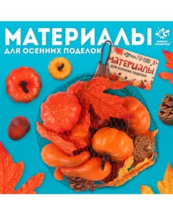 Материалы для творчества «Осенние поделки», в сетке арт. СМЛ-236881-1-СМЛ0010352738