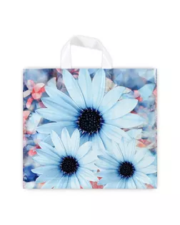 Пакет "Дарси", полиэтиленовый с петлевой ручкой, 37 х 34 см, 70 мкм арт. СМЛ-236904-1-СМЛ0010353242