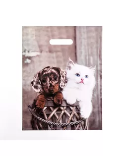 Пакет "Пушистая парочка", полиэтиленовый с вырубной ручкой 31х40 см, 60 мкм арт. СМЛ-281659-1-СМЛ0010353258